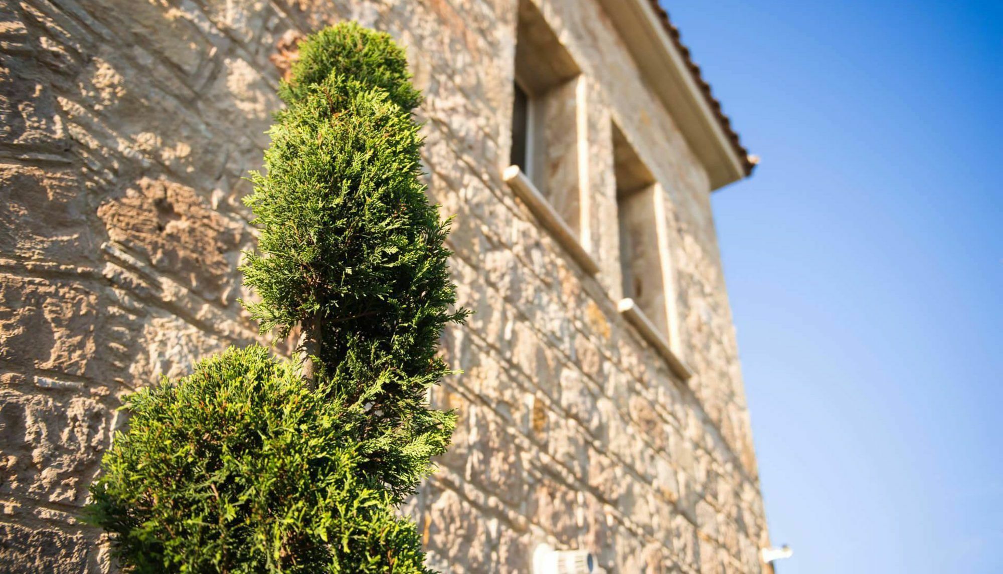 Villa Jaimi Peyia Exterior foto